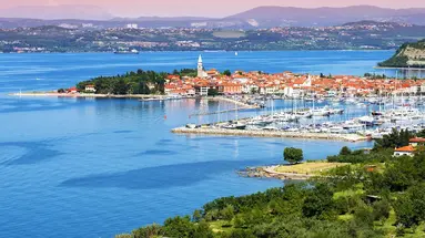 Haliaetum