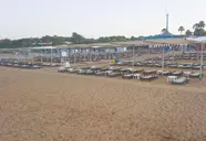 Hane Sun Elite