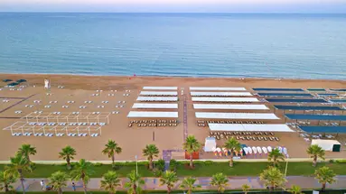 Hane Sun Elite