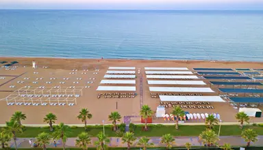 Hane Sun Elite