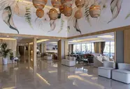 Hane Sun Elite