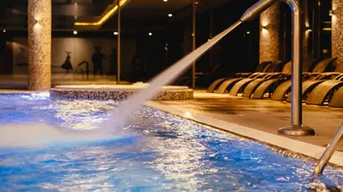 Hanza Pałac Wellness & SPA (Warlubie)