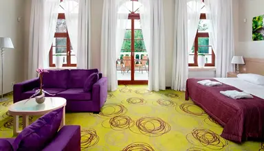 Hanza Pałac Wellness & SPA (Warlubie)
