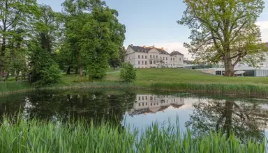 Hanza Pałac Wellness & SPA (Warlubie)