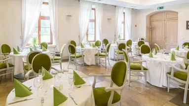 Hanza Pałac Wellness & SPA (Warlubie)