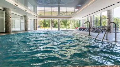 Hanza Pałac Wellness & SPA (Warlubie)