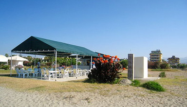 Happy Dreams Beach