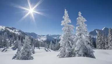Happy Holiday Apartaments
