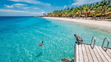 Harbour Village Beach Club