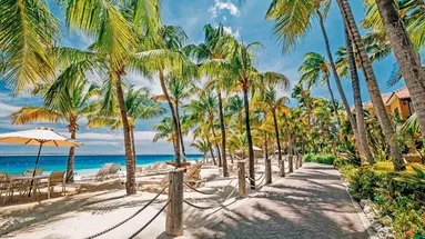 Harbour Village Beach Club