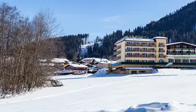 Harfenwirt