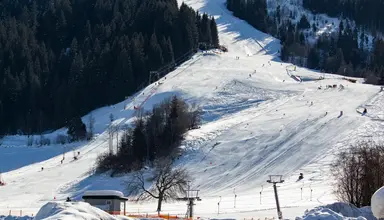 Harfenwirt