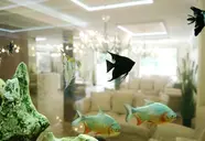 Harmony Suites 8 & 9 Dream Island