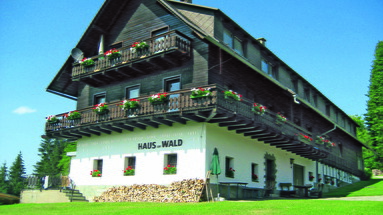 Haus am Wald