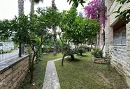 Havana