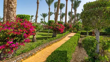 Hawaii Le Jardin Aqua Park