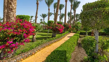 Hawaii Le Jardin Aqua Park