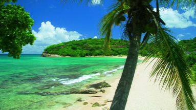 Hawksbill by rex resorts