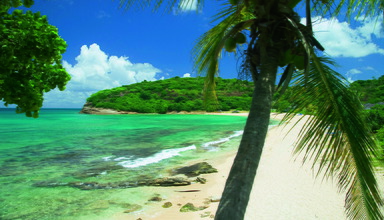 Hawksbill by rex resorts