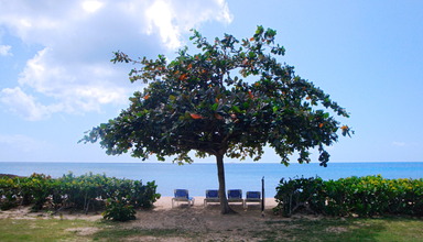 Hawksbill by rex resorts