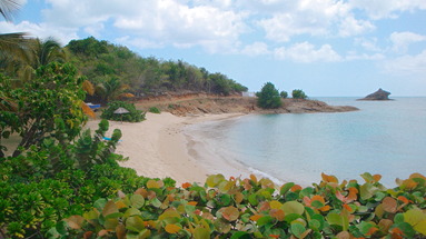 Hawksbill by rex resorts