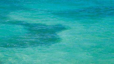 Hawksbill by rex resorts
