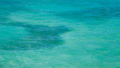 Hawksbill by rex resorts
