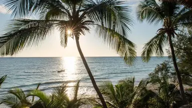 Hekaya Zanzibar