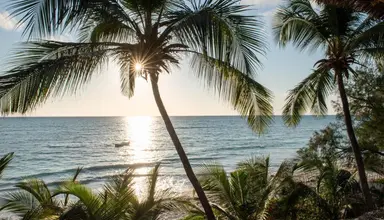 Hekaya Zanzibar