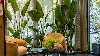 Henry Resort