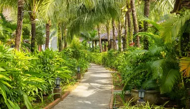 Herbal Resort & Spa