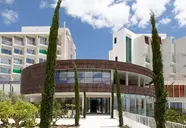 Higueron Curio Collection by Hilton 