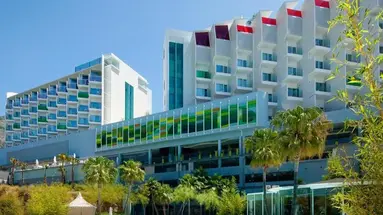 Higueron Curio Collection by Hilton 