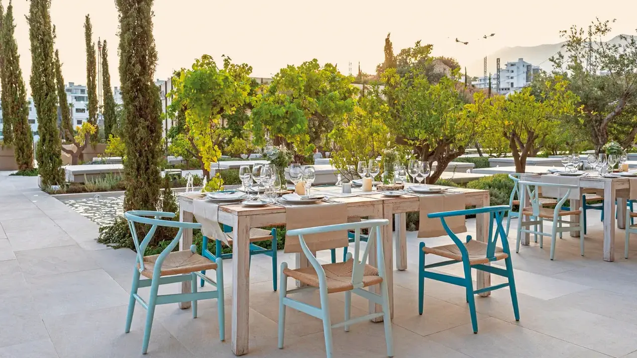 Higueron Curio Collection by Hilton 