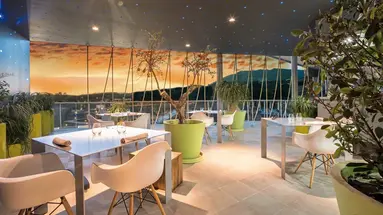 Higueron Curio Collection by Hilton