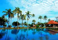 Hikka Tranz by Cinnamon