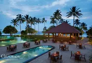 Hikka Tranz by Cinnamon