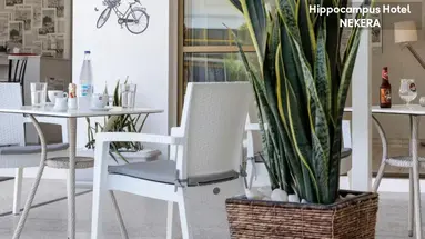 Hippocampus Boutique