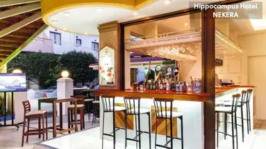 Hippocampus Boutique