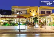 Hippocampus Boutique
