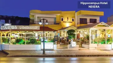 Hippocampus Boutique