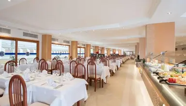 HL Suite Nardos