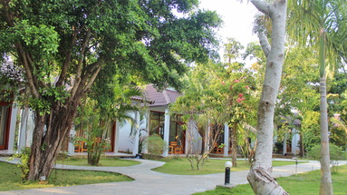 Hoa Nhat Lan