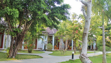Hoa Nhat Lan
