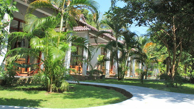 Hoa Nhat Lan