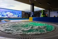 Holiday Park & Resort Rowy