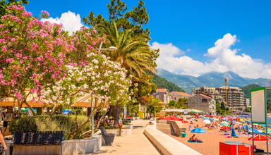 Holiday (Petrovac)