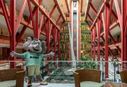 Holiday Village - Holiday World