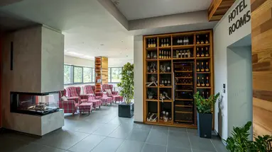 Horizont Resort (Stara Lesna)