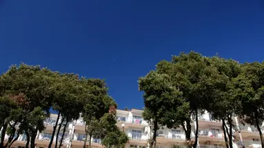 Horizont